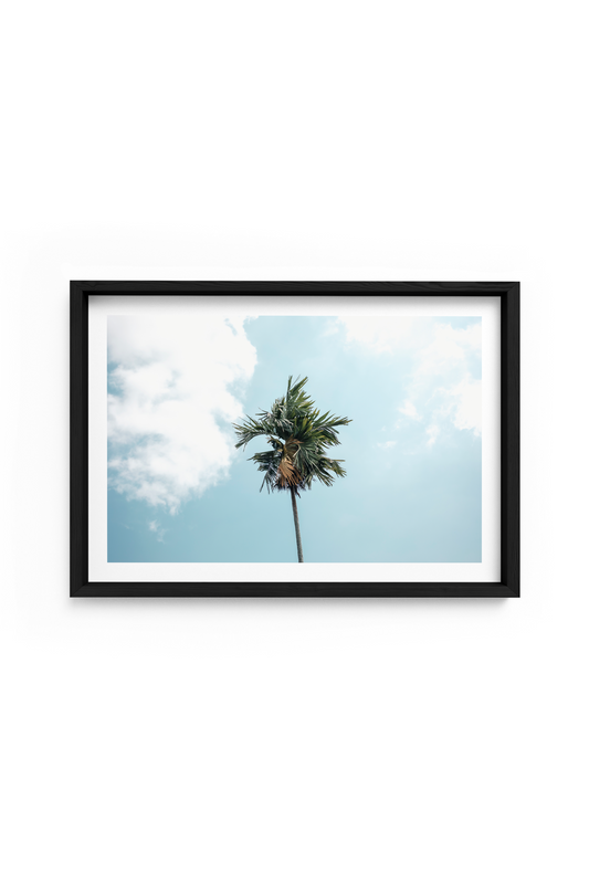 Campuhan Palm Landscape