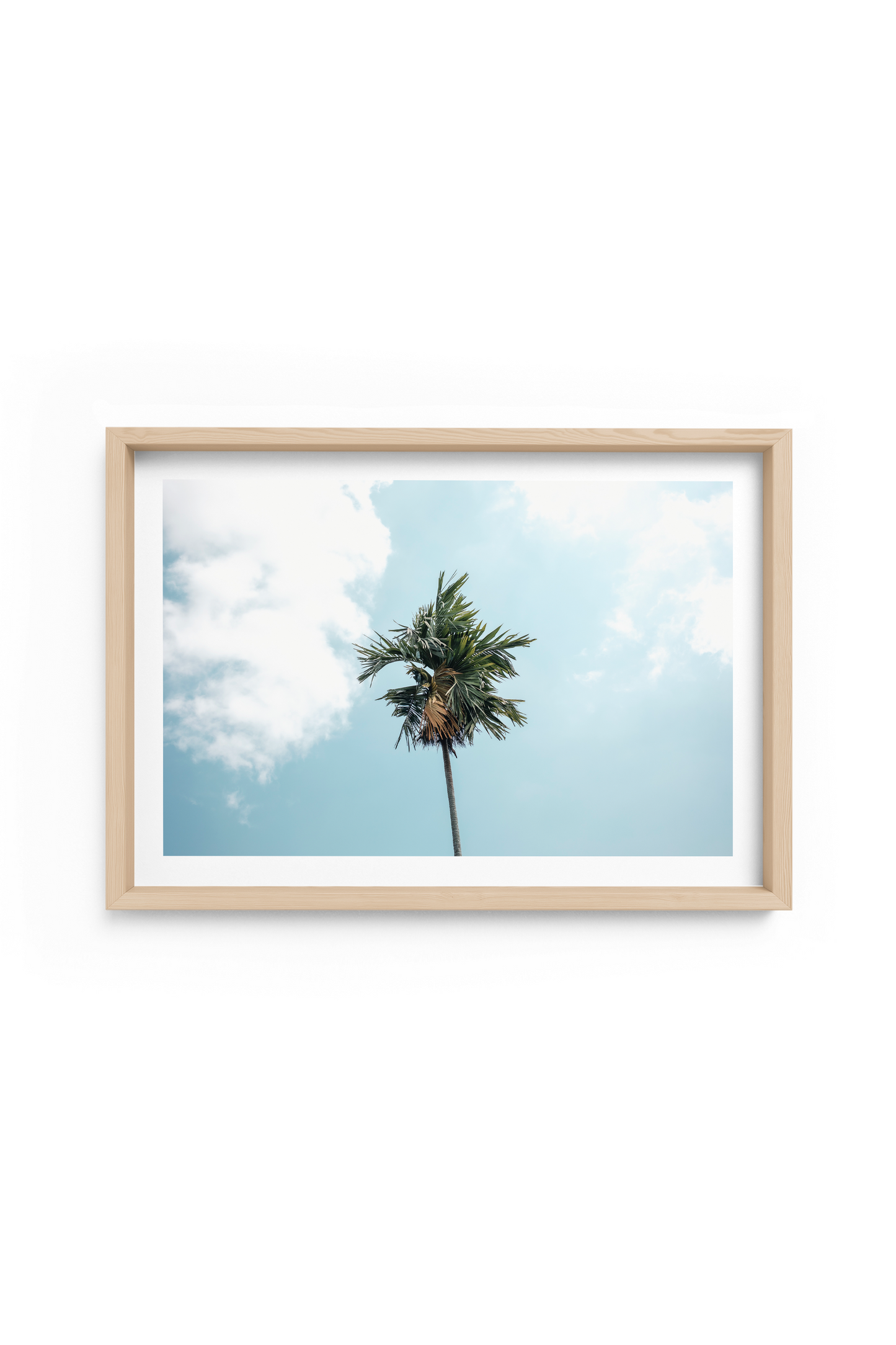 Campuhan Palm Landscape