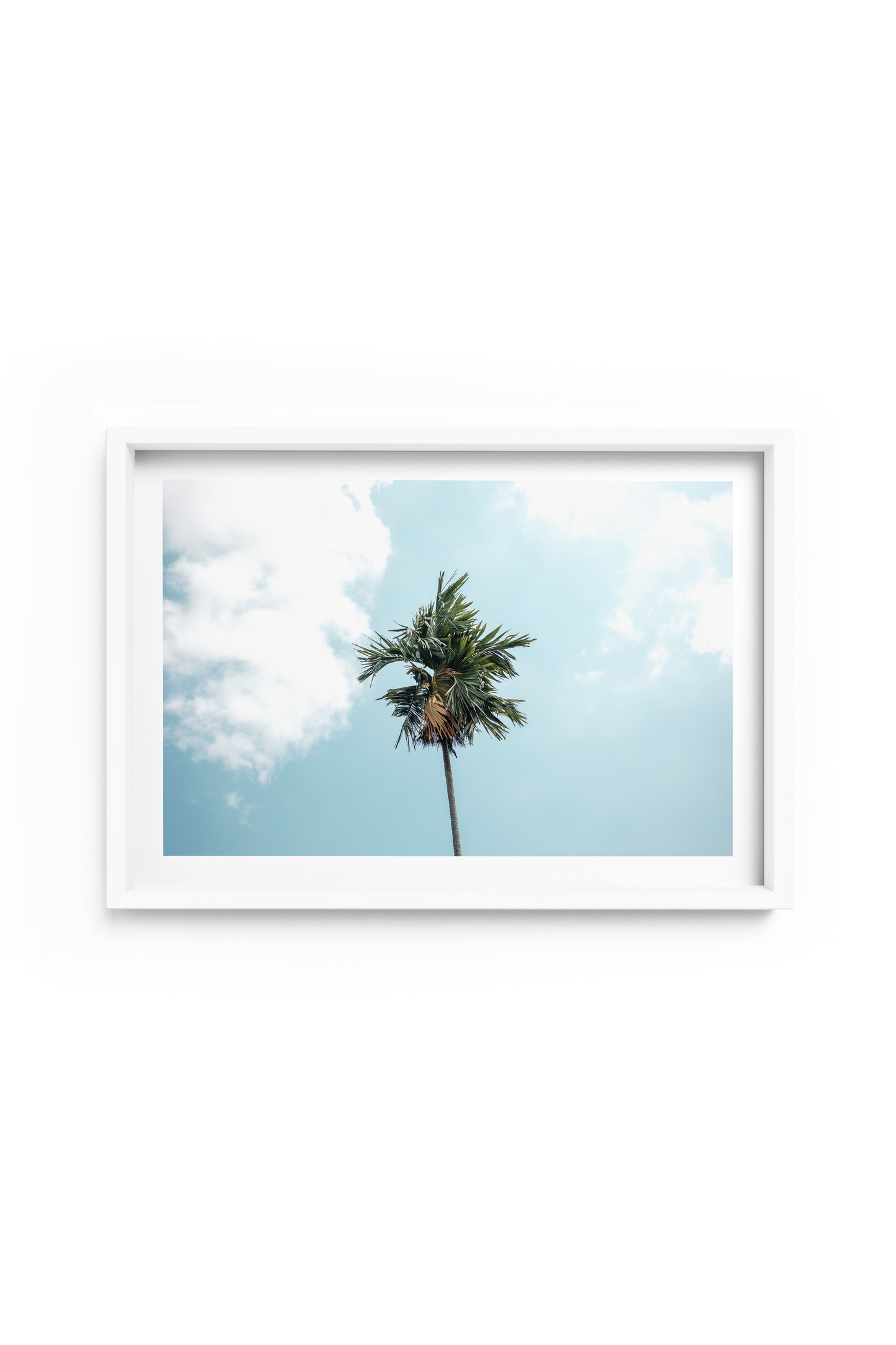 Campuhan Palm Landscape