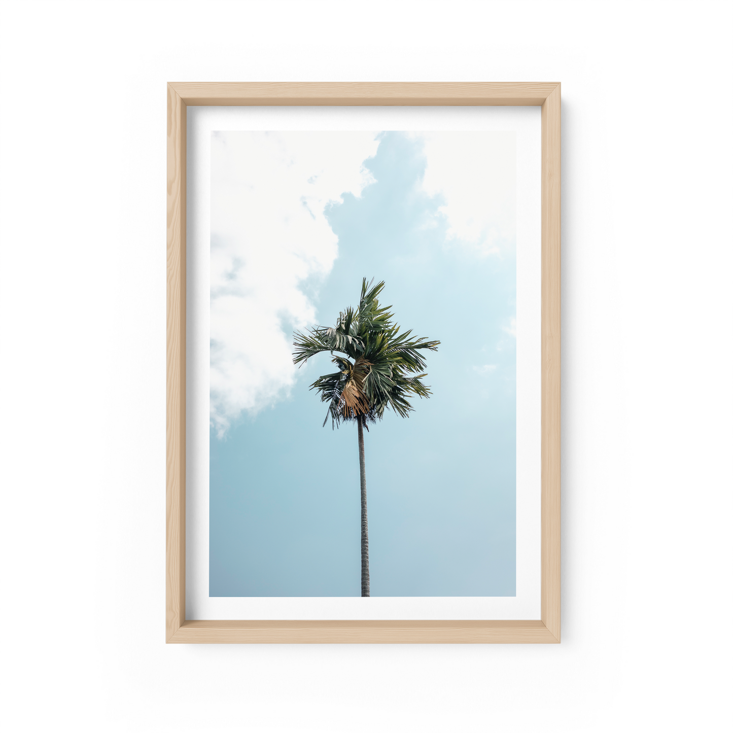 Campuhan Palm
