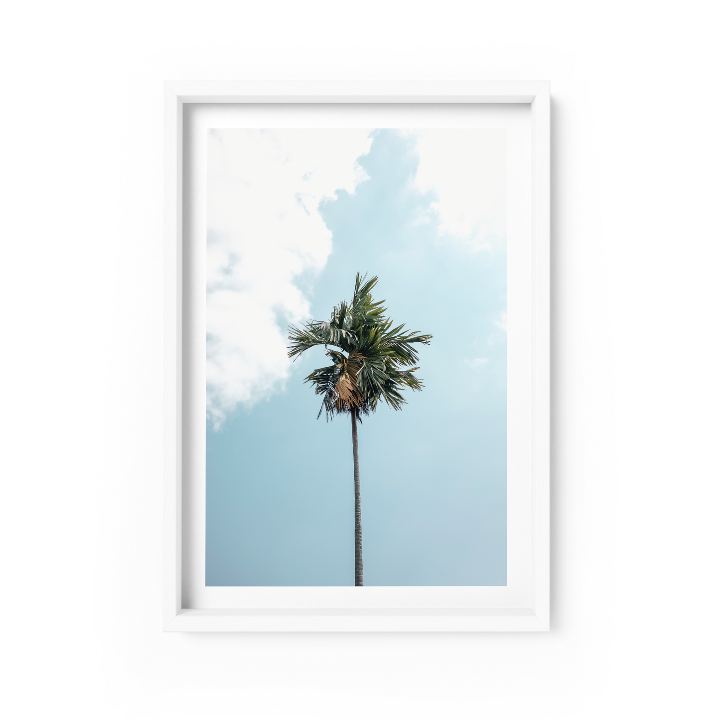 Campuhan Palm