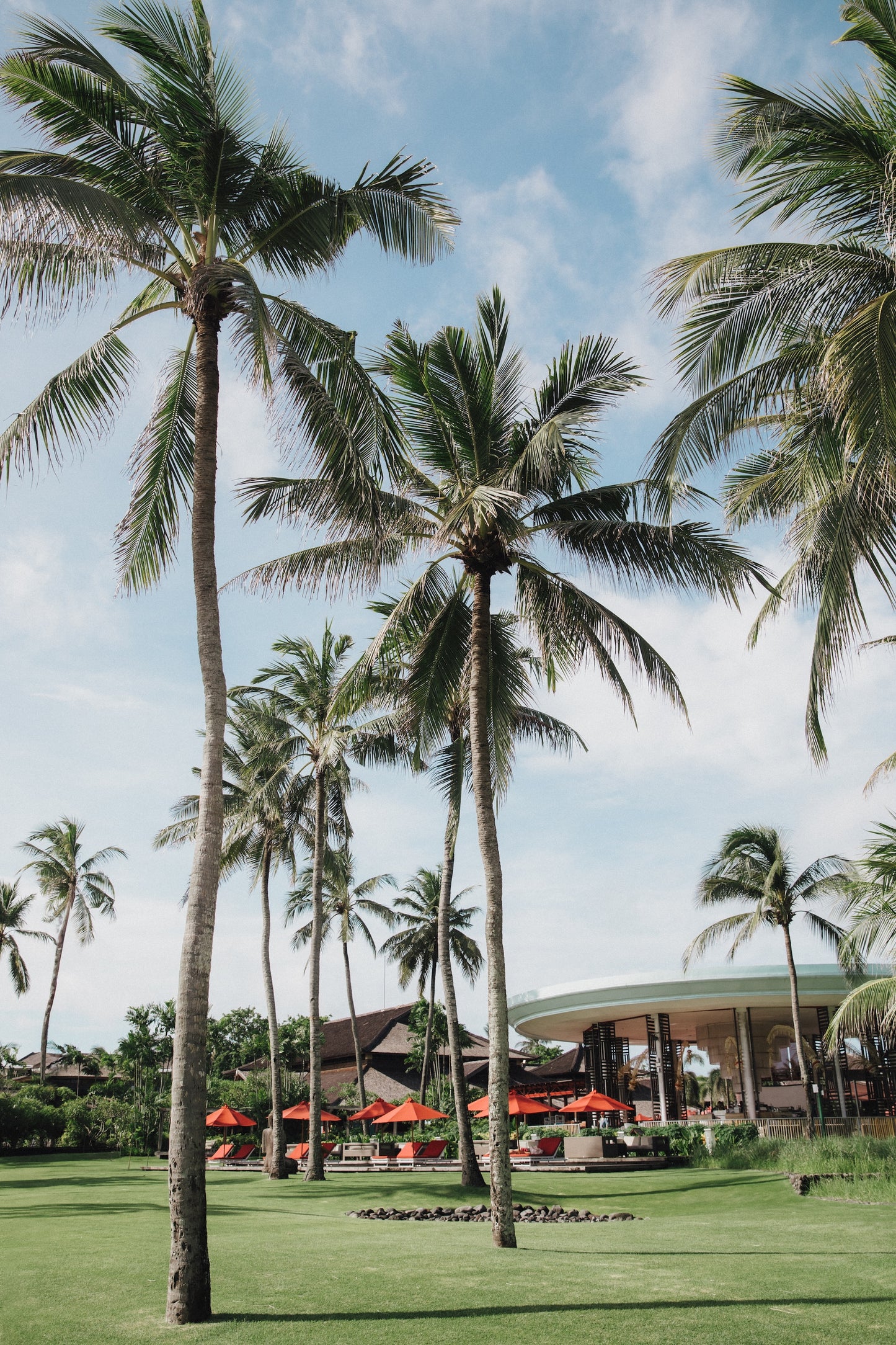 Le Club Med