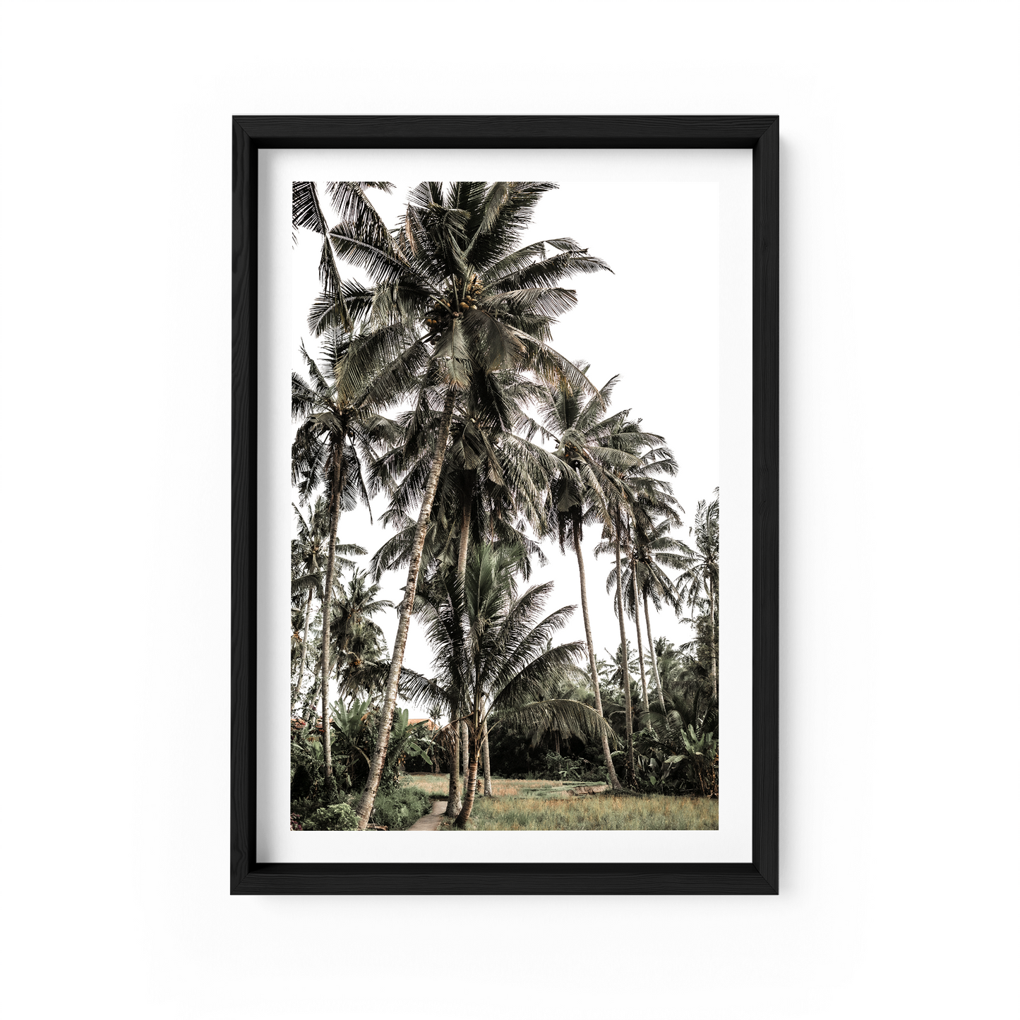 Darshana
