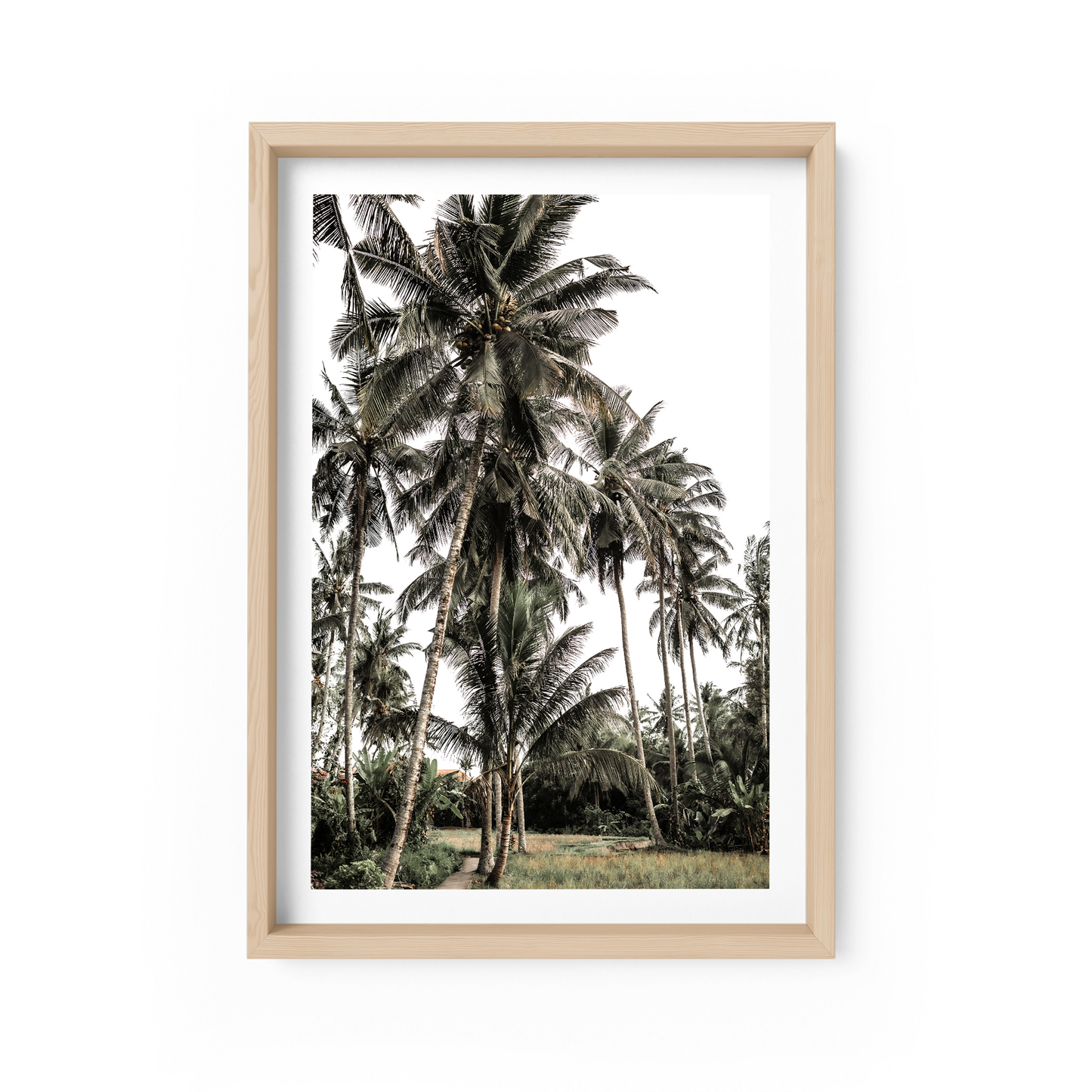Darshana