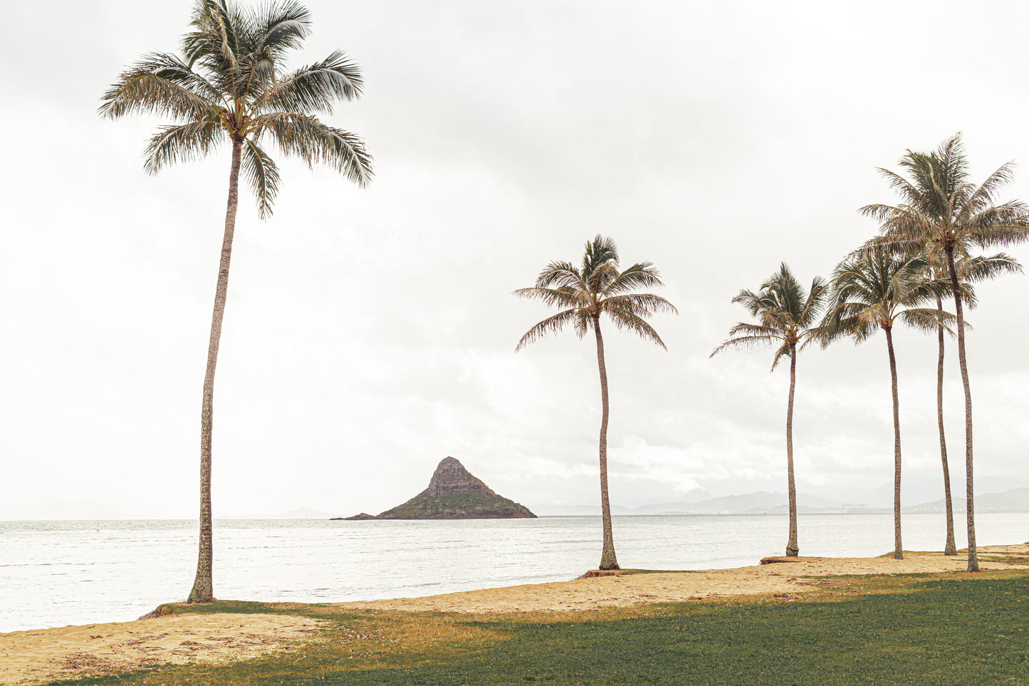 Kane'Oha Bay Landscape