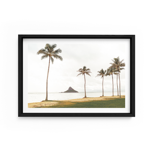 Kane'Oha Bay Landscape