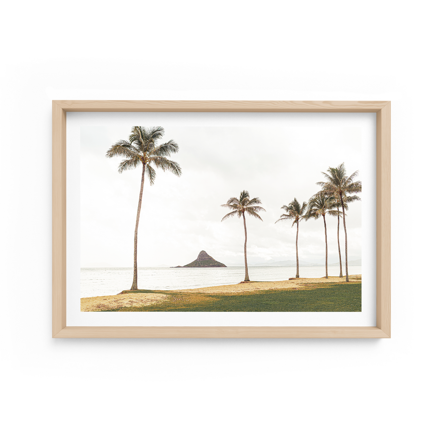 Kane'Oha Bay Landscape