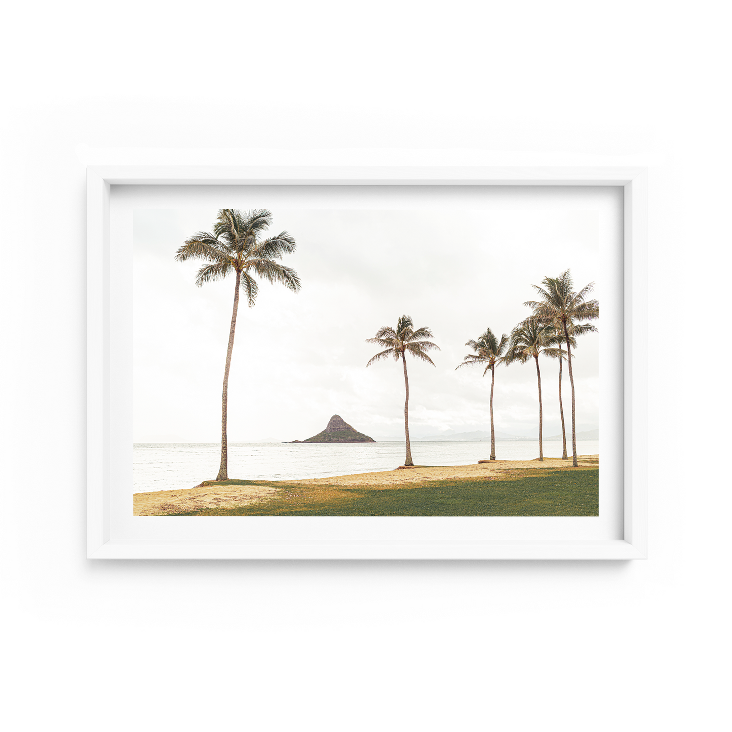Kane'Oha Bay Landscape