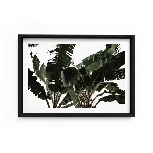 Mini Traveller Landscape