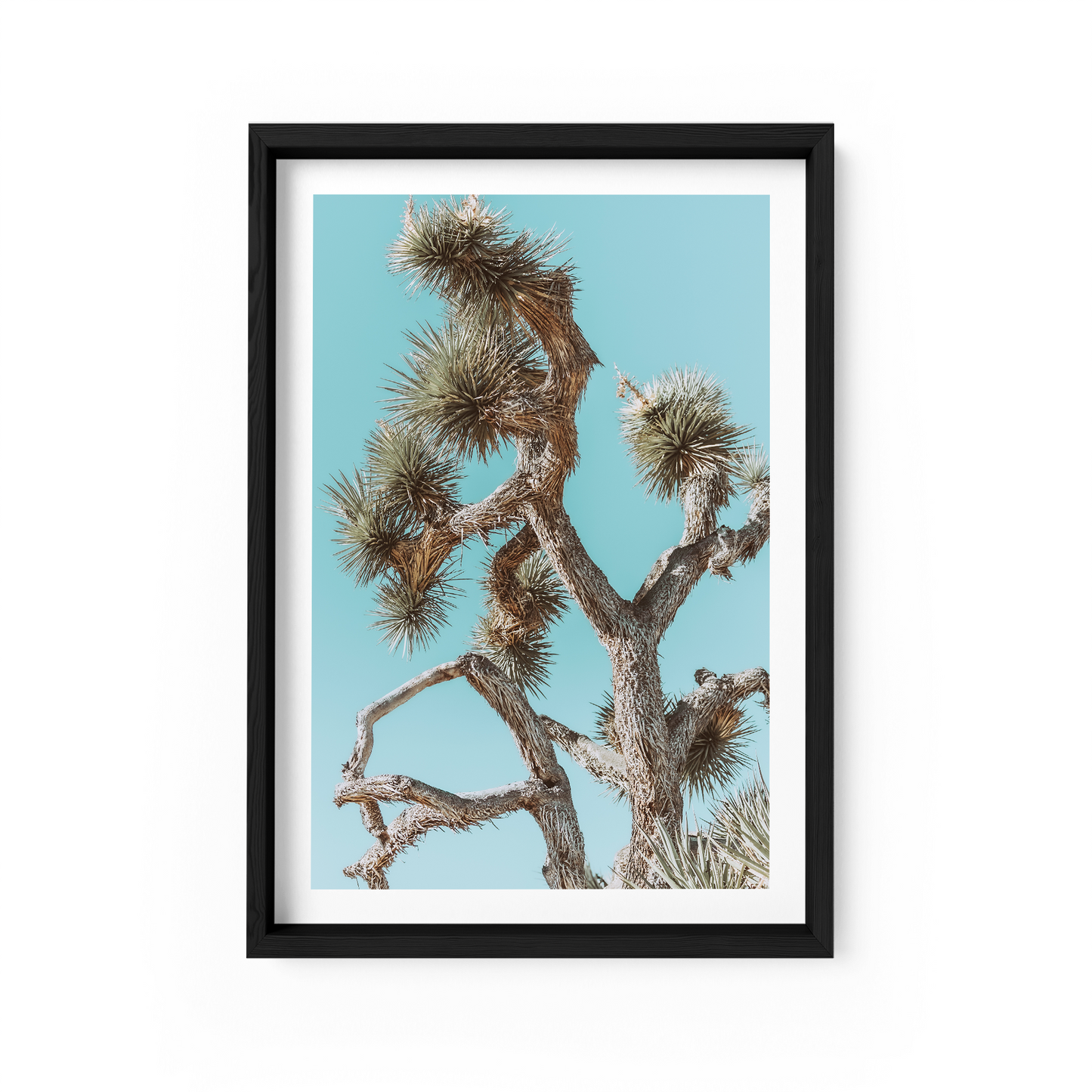 Prickly Little Bush