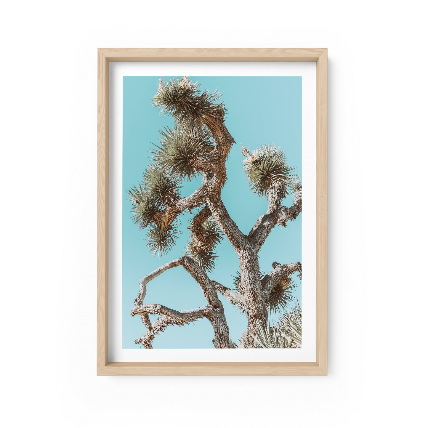 Prickly Little Bush