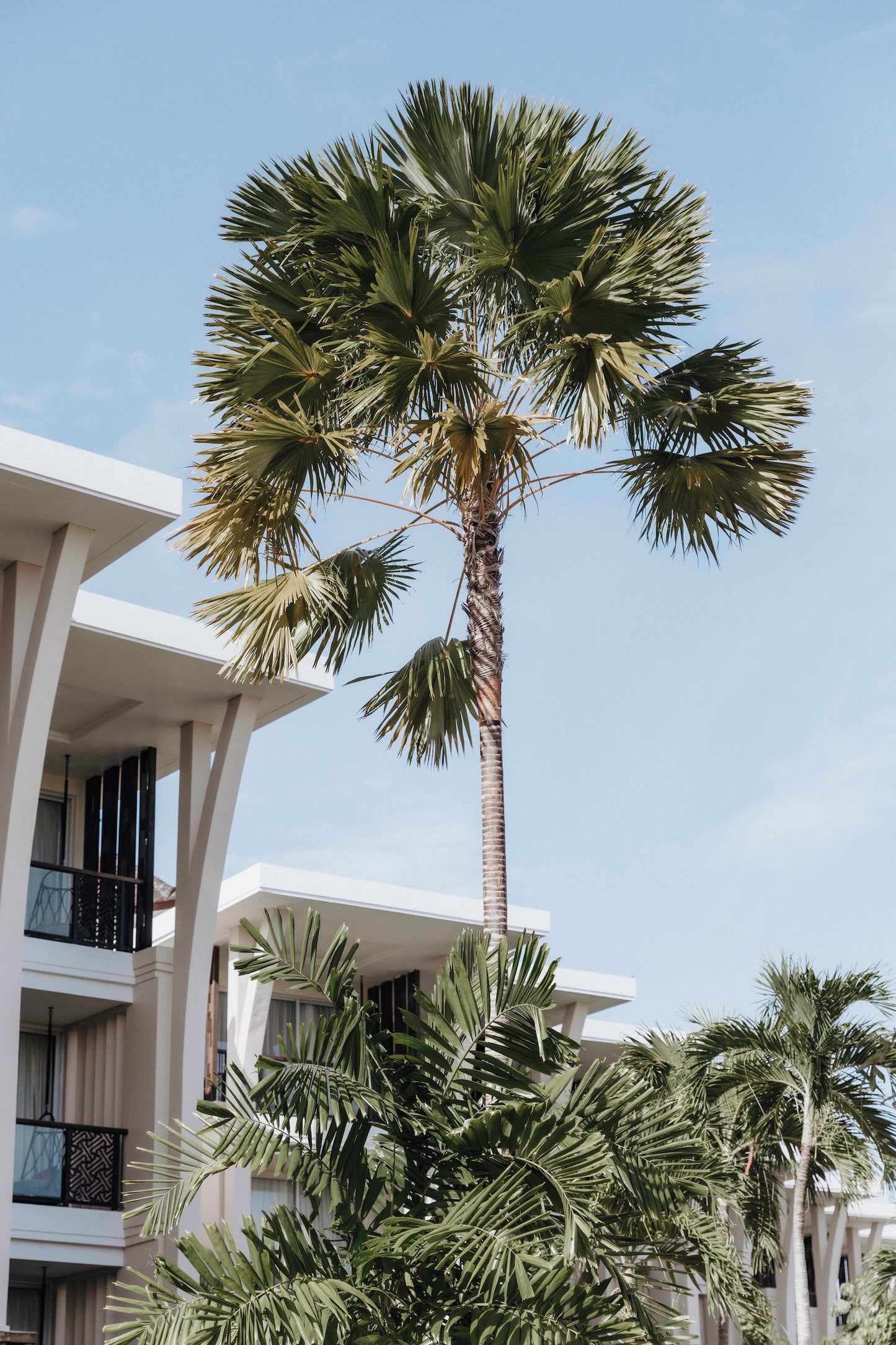 Grounds of Sofitel