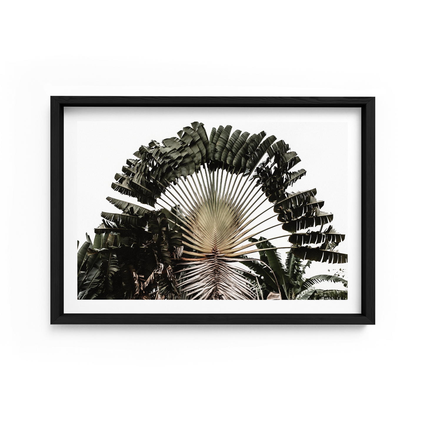 Traveller Landscape