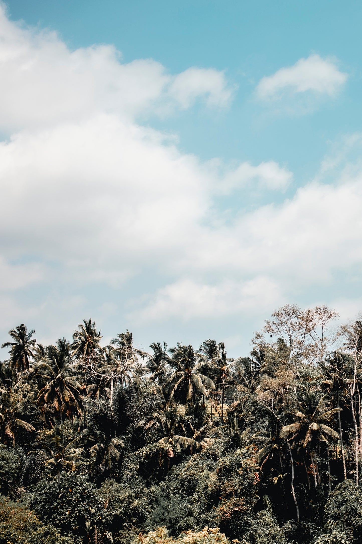 Ubud Clouds