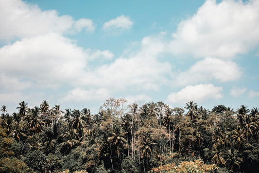 Ubud Clouds Landscape